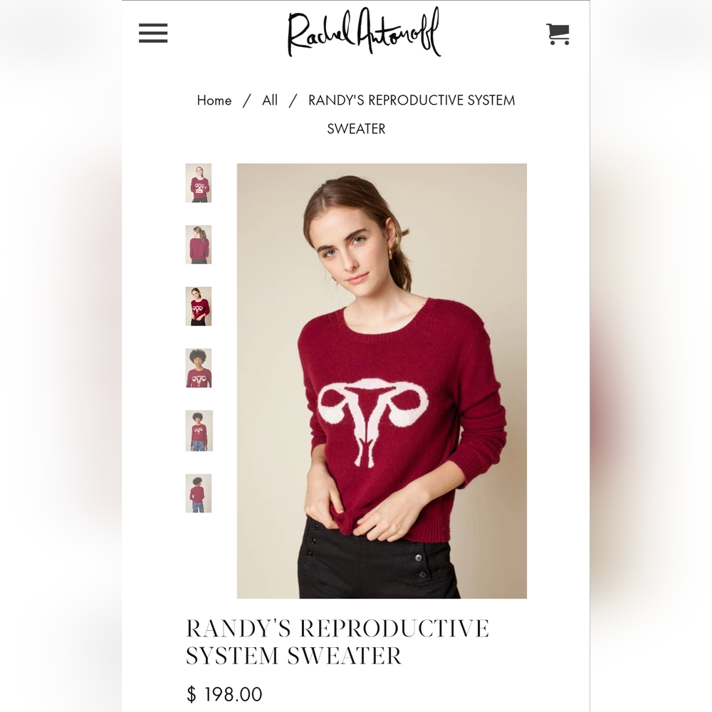 NWT Rachel Antonoff Sweater